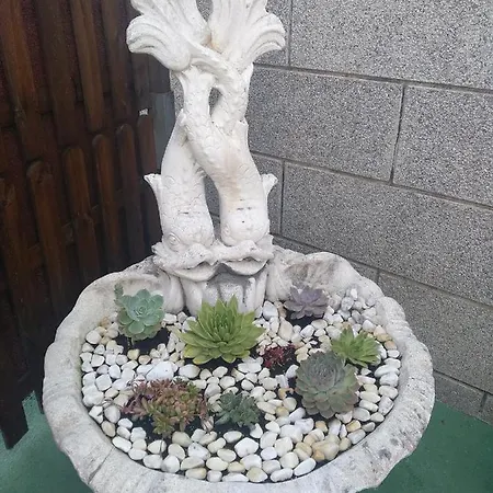 Сasa de vacaciones Casa Romero Garden Vilanova de Arousa